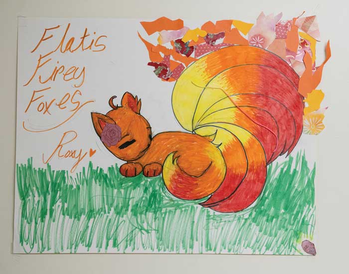fire fox drawing